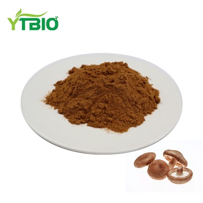 Shiitake Extract Powder